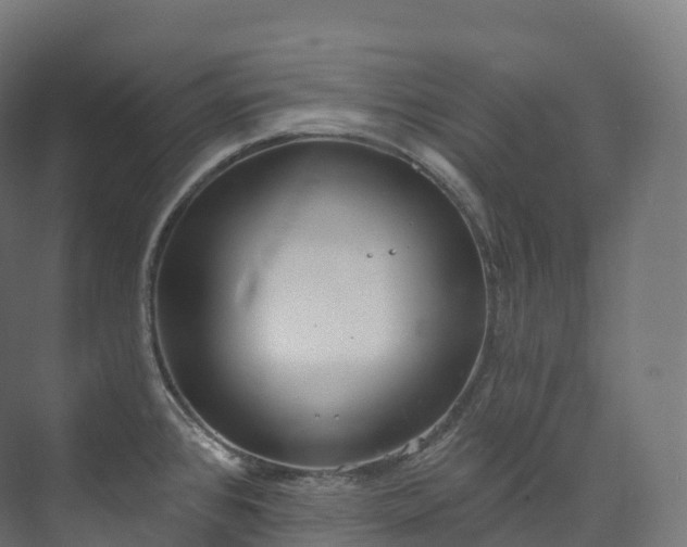 X0000073481384200608071009