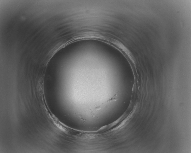 X0000073481385200608071009