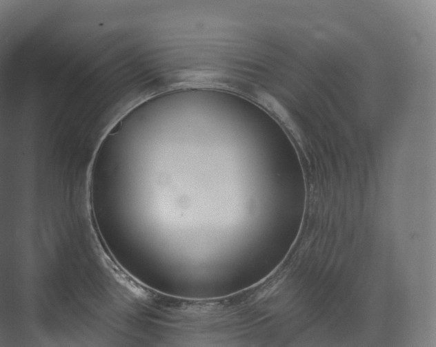 X0000073481386200608071009