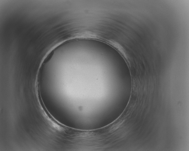 X0000073481387200608071009