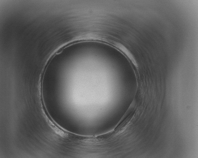 X0000073481388200608071009