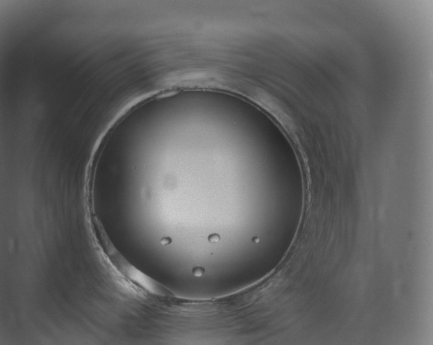 X0000073481392200608071009