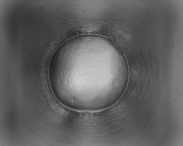 X0000073481393200608071008