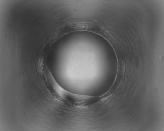 X0000073481394200608071008