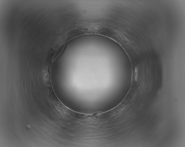 X0000073481395200608071008