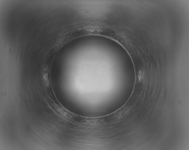 X0000073481396200608071008