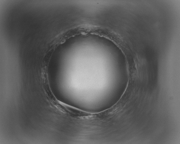 X0000073481397200608071008