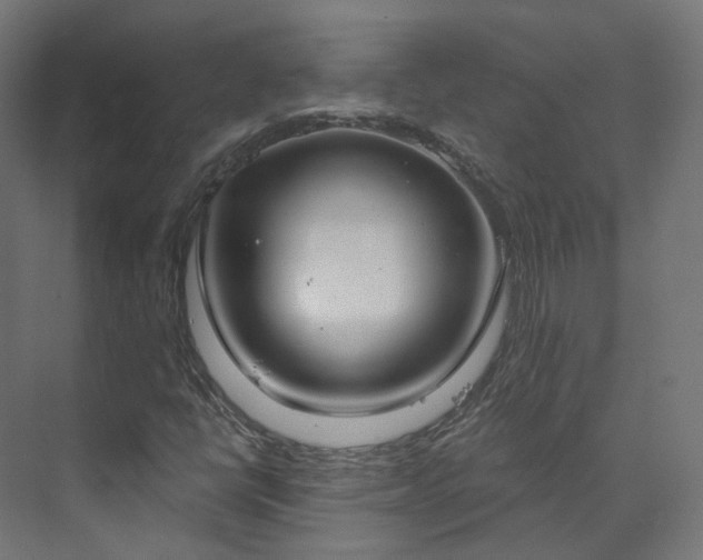 X0000073481398200608071008