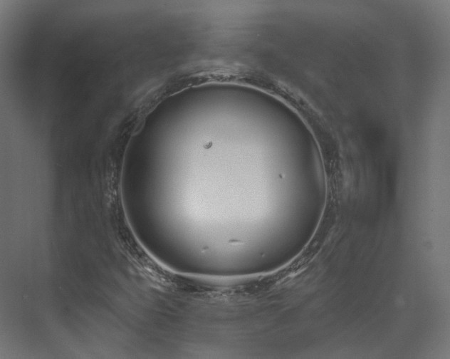 X0000073481399200608071008