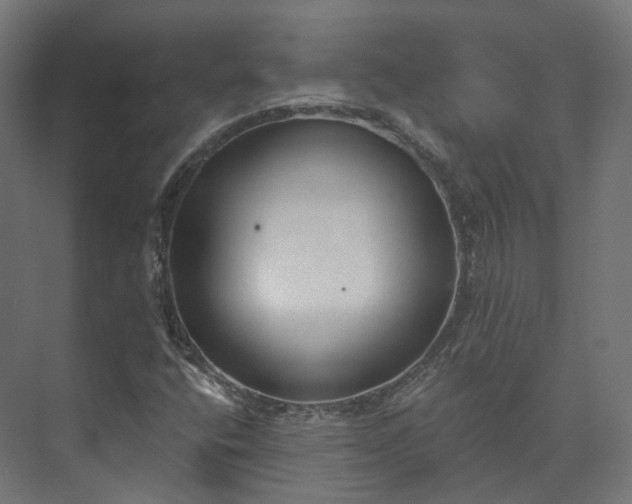 X0000073481400200608071009