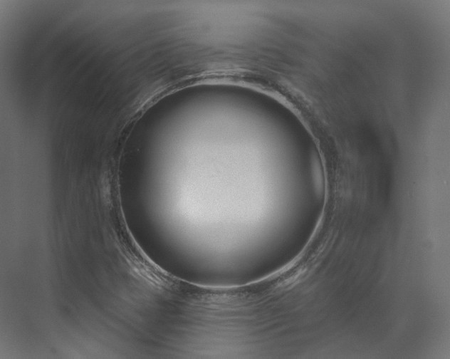 X0000073481401200608071009