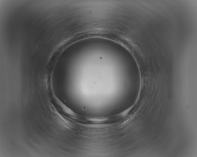 X0000073481402200608071009