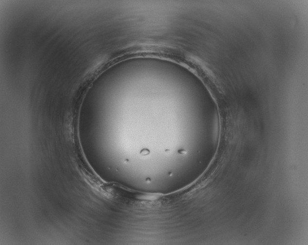 X0000073481403200608071009