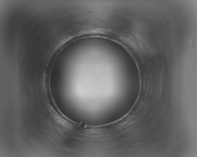 X0000073481404200608071009