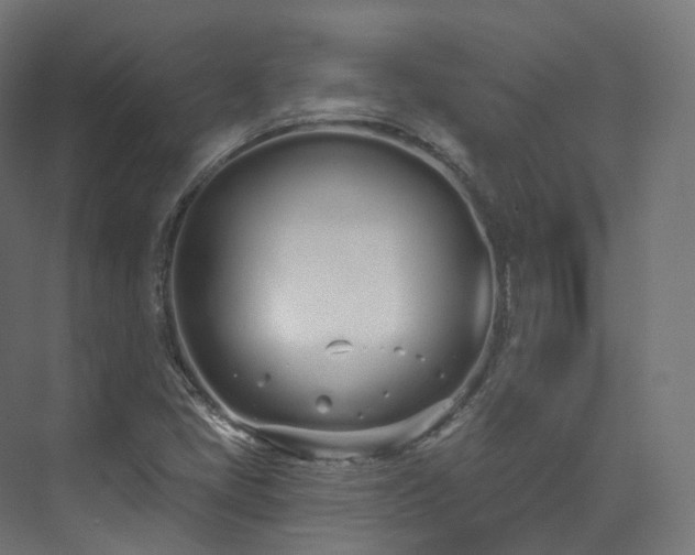 X0000073481405200608071009