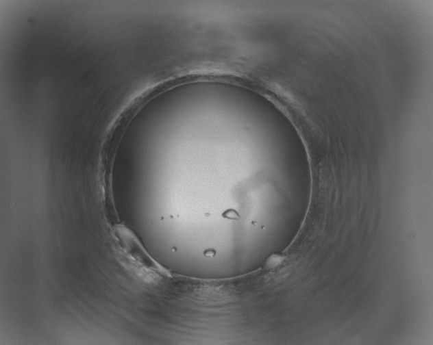 X0000073481408200608071009