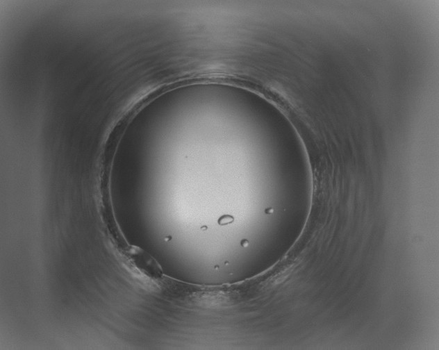 X0000073481410200608071009