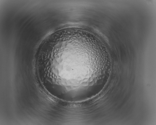 X0000073481411200608071009