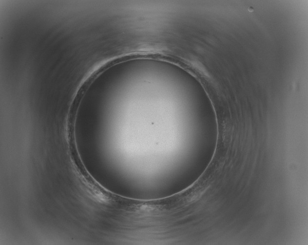 X0000073481412200608071009