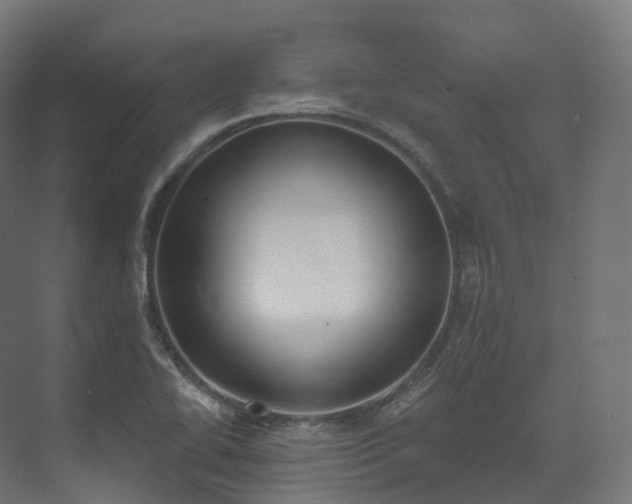 X0000073481414200608071009