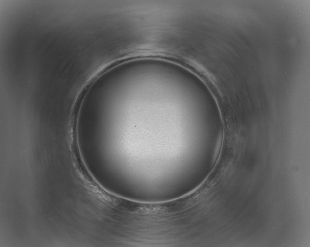 X0000073481415200608071009