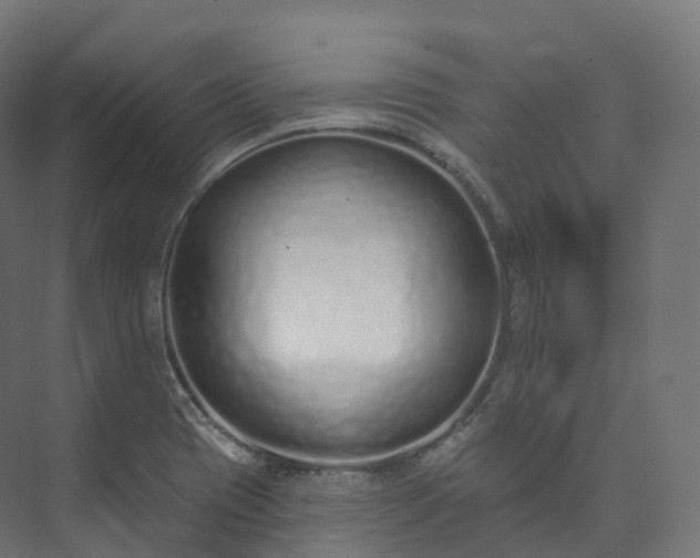 X0000073481417200608071009