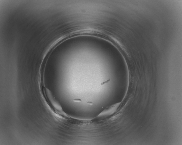 X0000073481418200608071009