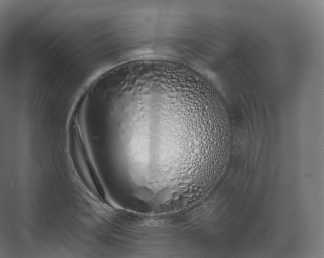 X0000073481419200608071009