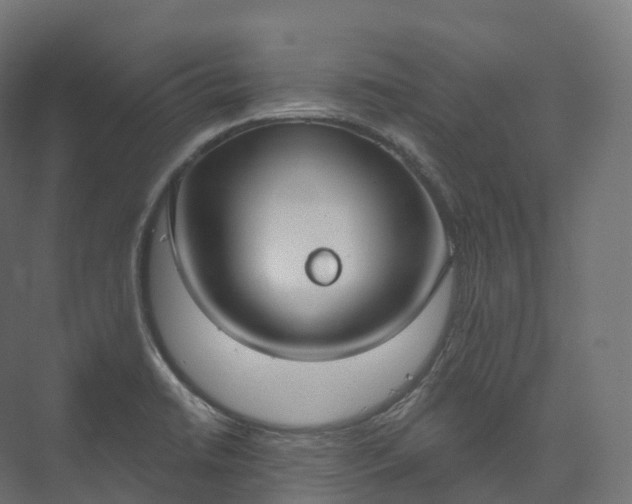 X0000073481422200608071009