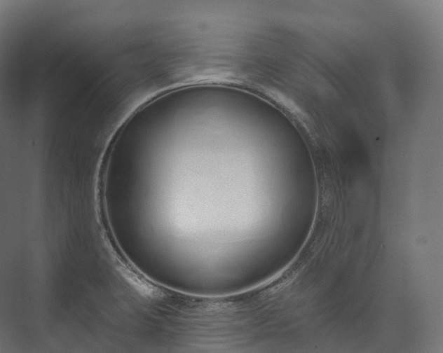 X0000073481423200608071009