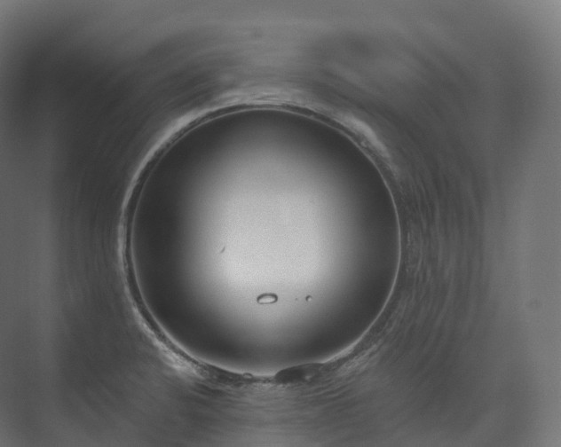 X0000073481424200608071009