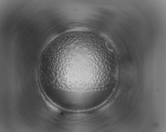 X0000073481425200608071009