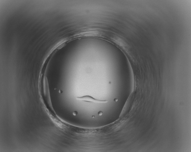 X0000073481426200608071009