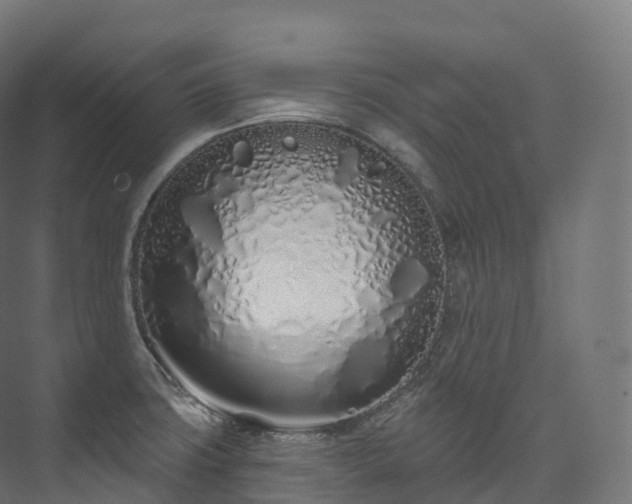 X0000073481427200608071009