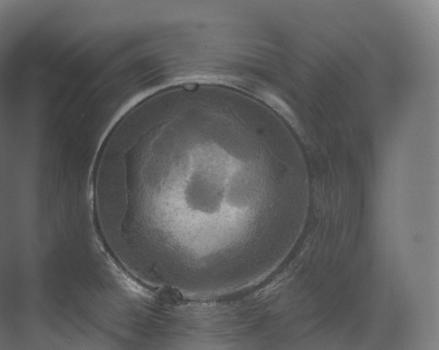 X0000073481428200608071009