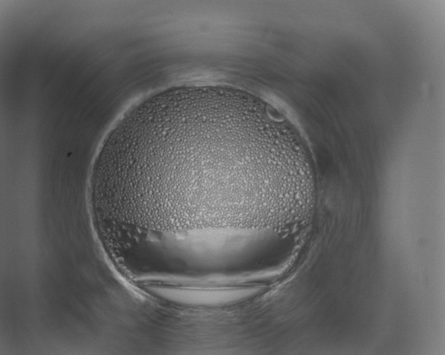 X0000073481429200608071009