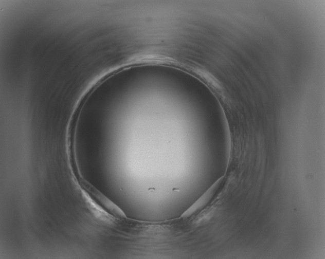 X0000073481430200608071009