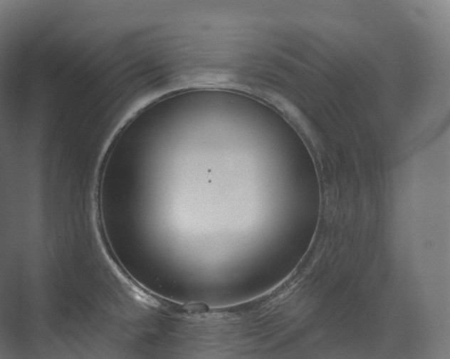 X0000073481432200608071009