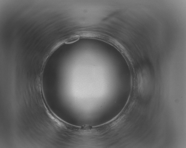 X0000073481433200608071009