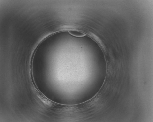 X0000073481435200608071009