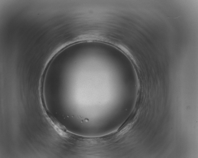 X0000073481438200608071009