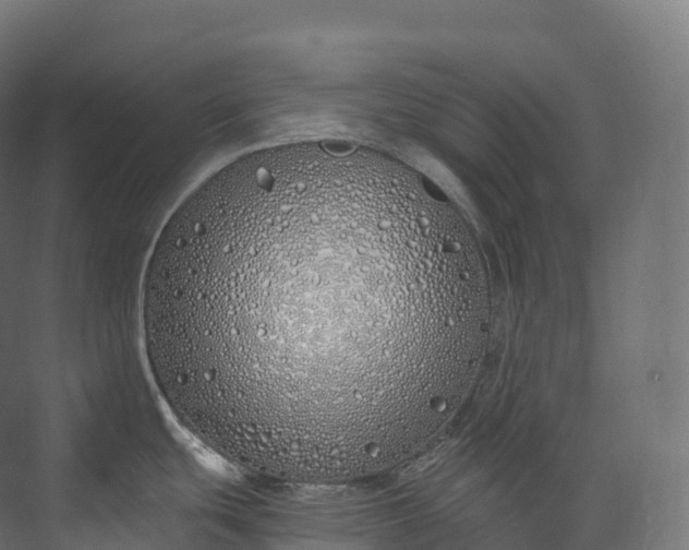 X0000073481439200608071009