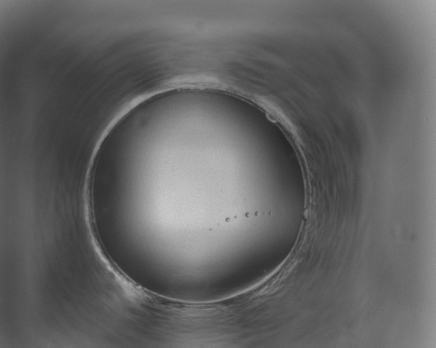 X0000073481440200608071009