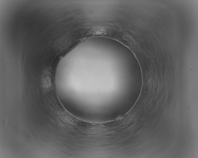 X0000073481442200608071008