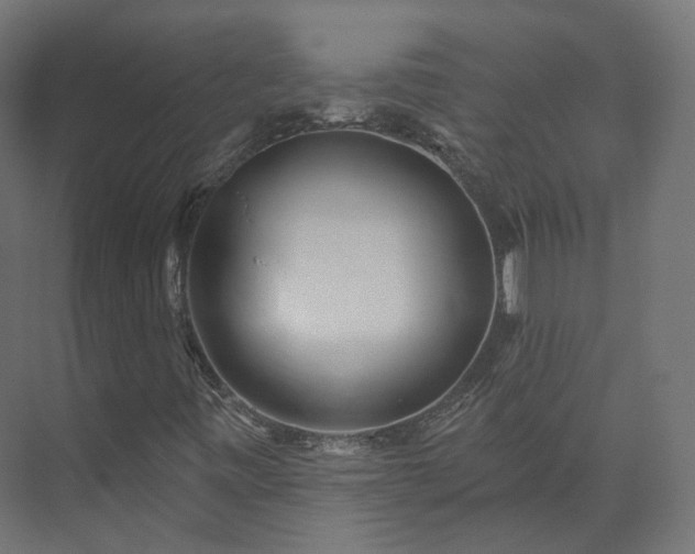 X0000073481443200608071008