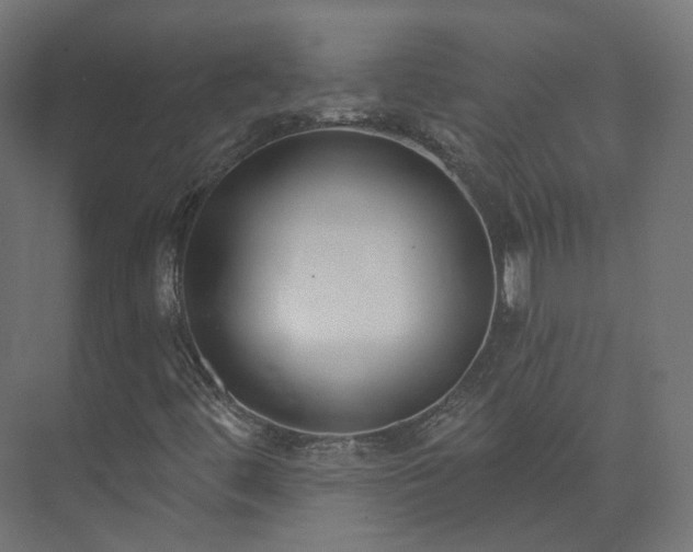 X0000073481444200608071008