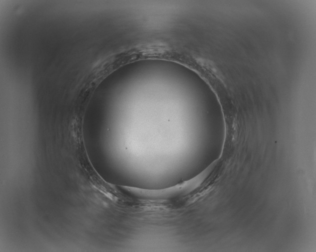 X0000073481445200608071008