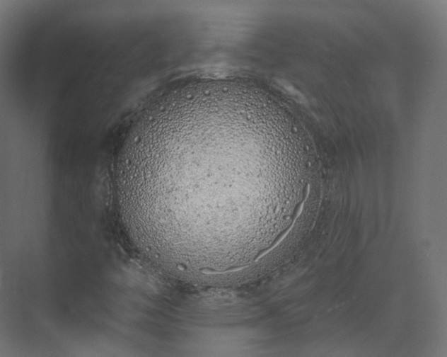 X0000073481446200608071008