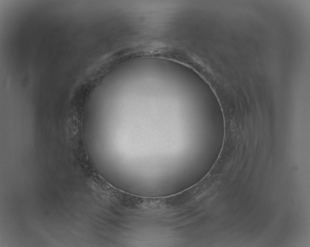 X0000073481447200608071008