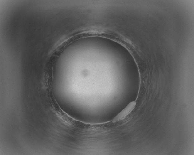 X0000073481448200608071008